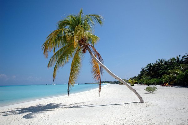 Quels sont les meilleurs itinéraires pour une randonnée sur le sentier de l'Appalachian Trail, États-Unis?